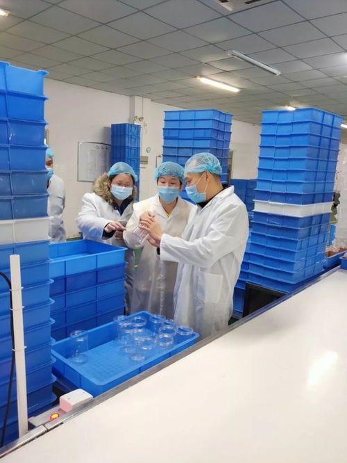 东莞553家食品生产企业恢复生产,复产率达44